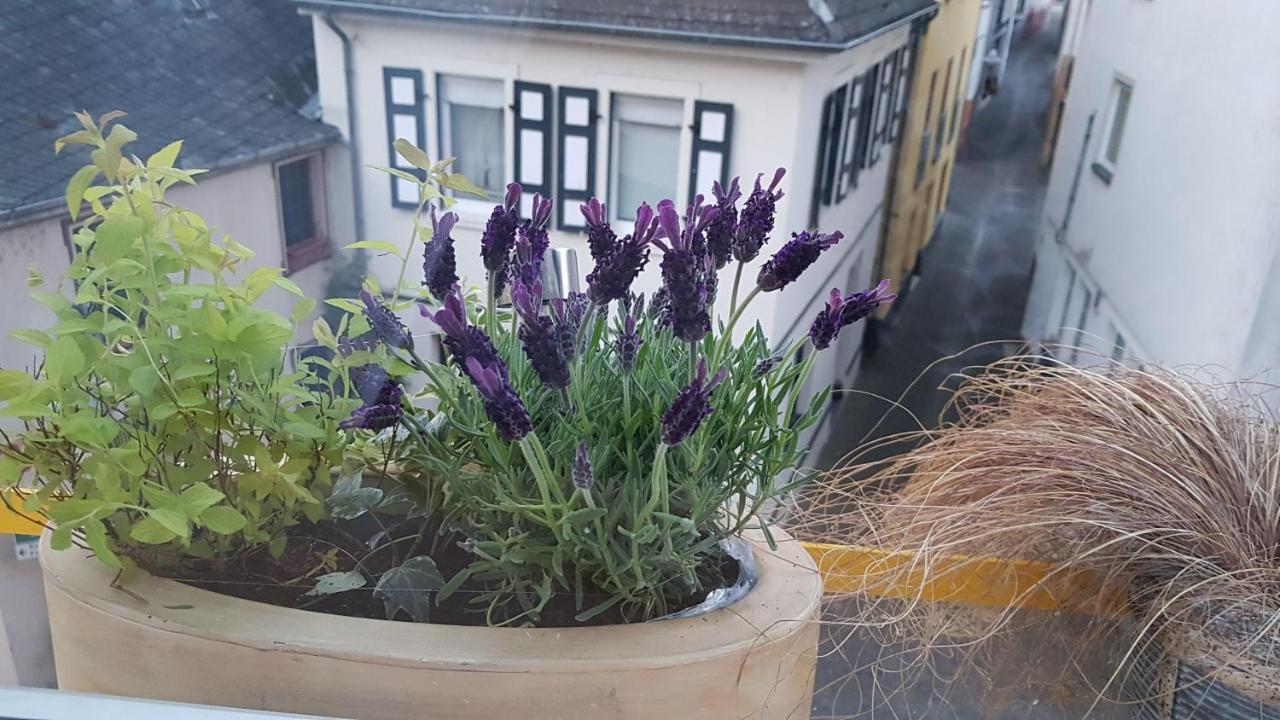 فيلا Haus Alfina المظهر الخارجي الصورة